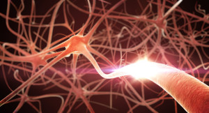 neuroplasticity: rewiring the brain