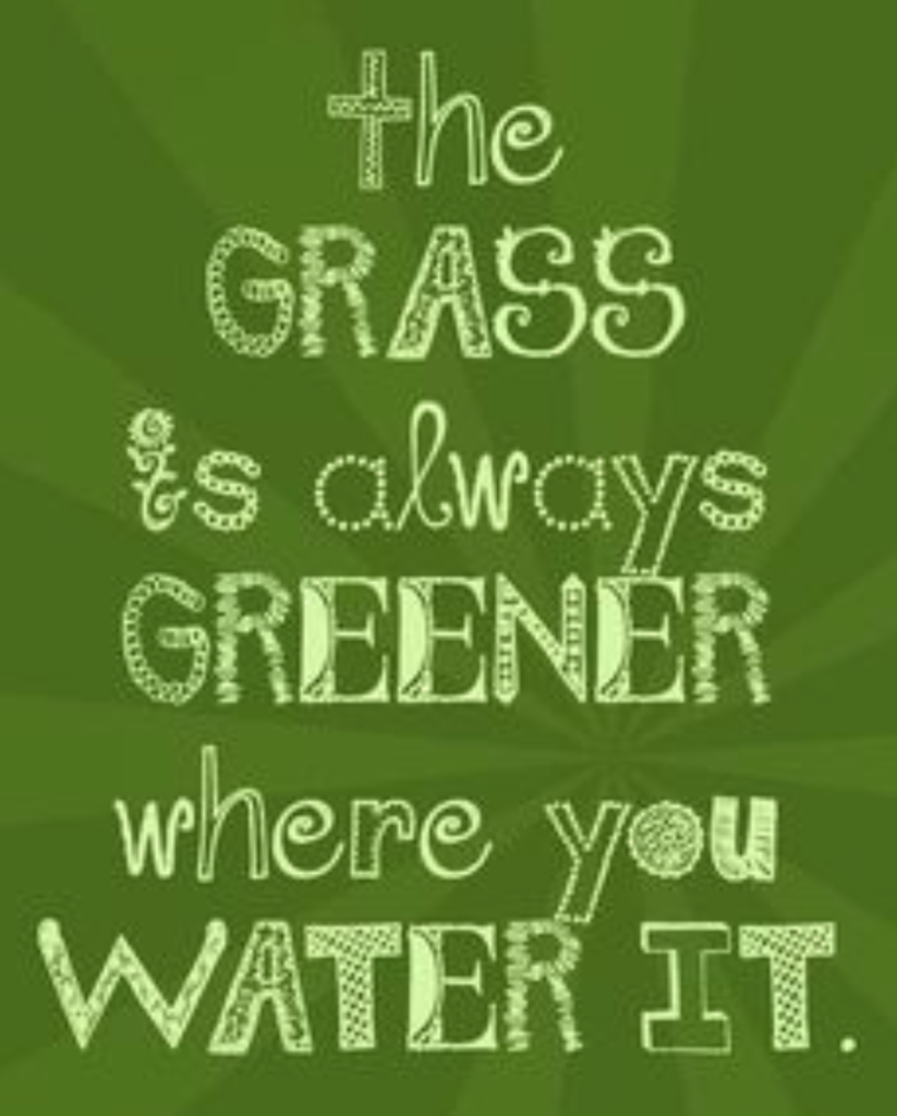 the grass is always greener where you water it
