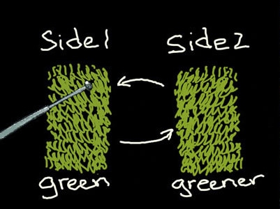 is the grass really greener?